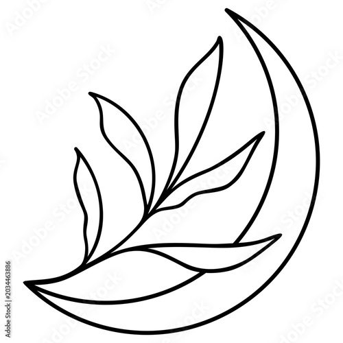 Botanical Crescent Moon | Vector Nature Moon Artwork