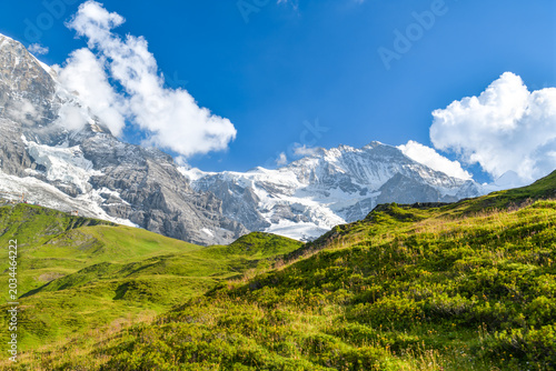 Green alpine meadow below glaciated mountain peaks