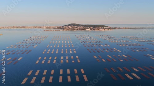 Aerial view of Bouzigues on the Thau Lagoon, in the Hérault department, Occitanie region, France