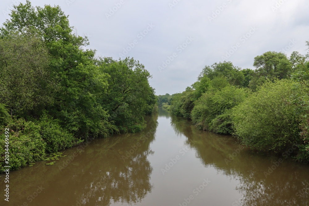 Fototapeta premium Forest-framed channel with gentle current