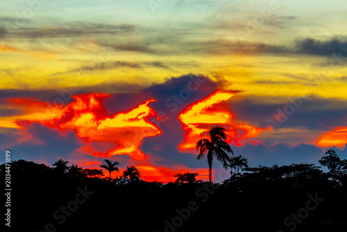 A colorful evening sky scene of blue, orange, yellow, and white at dusk. The silhouette trees and beautiful view of the red sky at dusk.