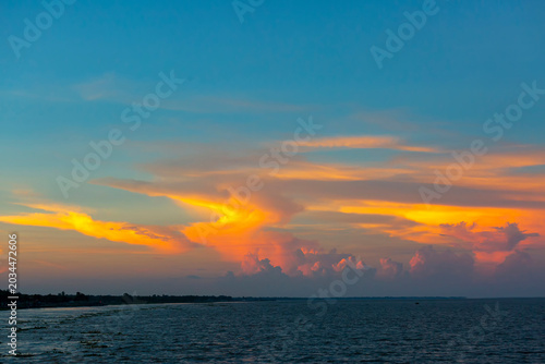 A colorful evening sky scene of blue, orange, yellow, and white at dusk. The silhouette trees and beautiful view of the red sky at dusk.