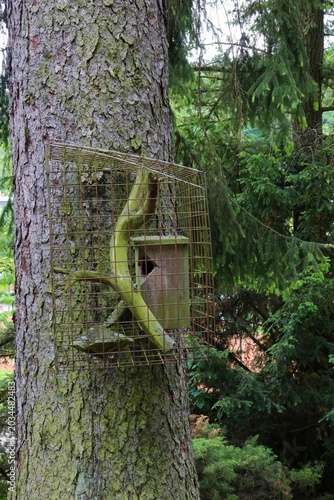 Картината върху платно A wooden birdhouse, encased in a protective metal cage, attached to a large tree