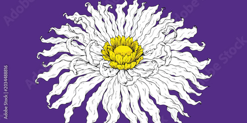 Close up artistic illustration of a delicate white flower with a yellow center on purple background