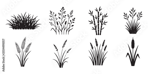 Canvas Print Black grass silhouettes set, 8 botanical reed and pampas grass vector icons, minimalist wild meadow plant elements for landscape design