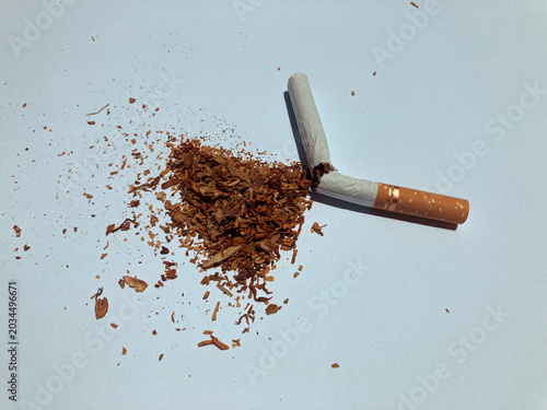 Photos Broken Cigarette with Scattered Tobacco, Smoking Addiction Problem and Tobacco B