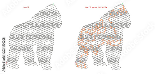 Gorilla shaped maze puzzle with solved path and answer key, wild animal labyrinth challenge for kids and adults, printable activity sheet on transparent background