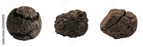 Quadro su tela Set of Three Realistic Brown Soil Clods and Earth Lumps, Isolated Transparent Ba