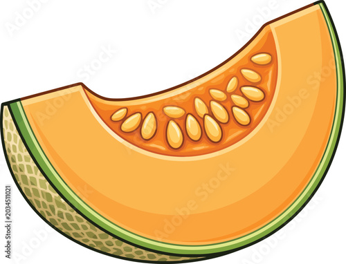 Bilde på lerret Cantaloupe melon slice cartoon vector illustration isolated on white background