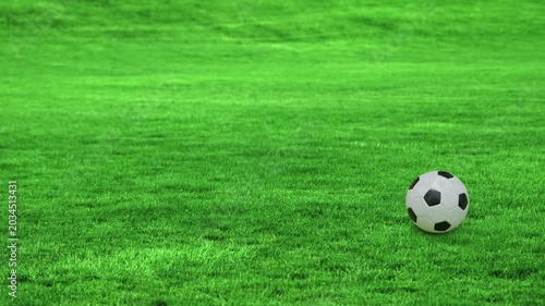 Soccer ball enters from the left, bounces and stops on a realistic grass field. Natural lighting and shadow enhance realism. Ideal for football themes, sports advertising, match visuals and outdoor co
