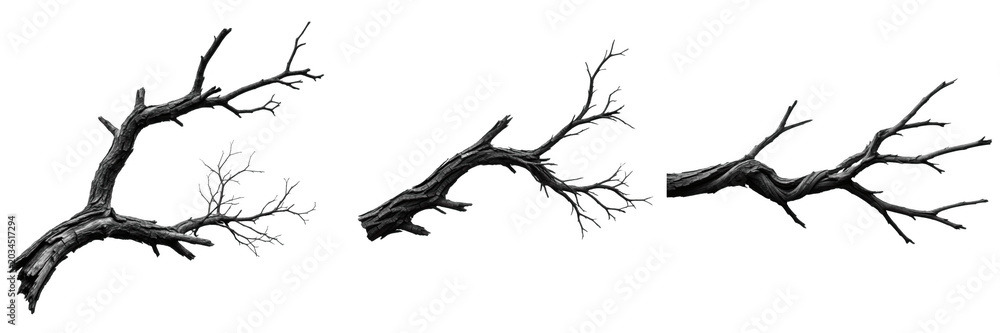 Fototapeta premium Spooky Bare Tree Branches PNG Set - Dead Wood Twigs, Creepy Gnarled Halloween Elements, and Naked Winter Boughs Isolated on Transparent Background for Gothic Designs, Photo Overlays, and Dark Fantasy 