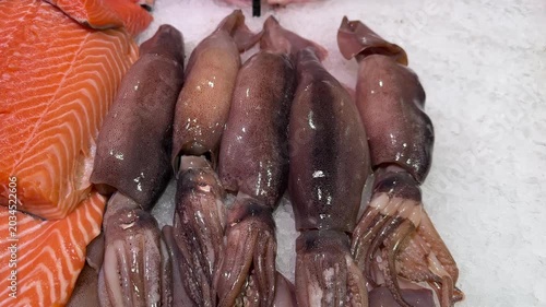 Fresh squid fillets on ice display