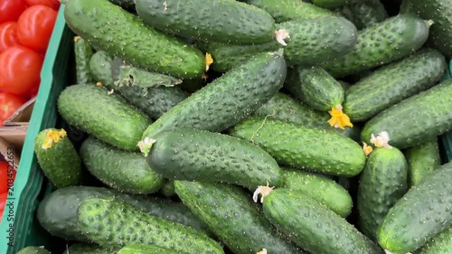 Fresh green cucumbers with yellow flowers in market