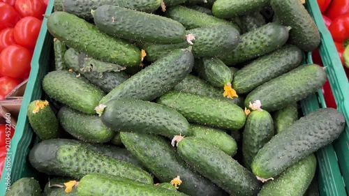 Fresh Cucumbers with Yellow Flowers in Green Crate