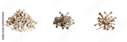 Quadro em tela Animal bone pile set with realistic scattered skeleton remains and crossbones is