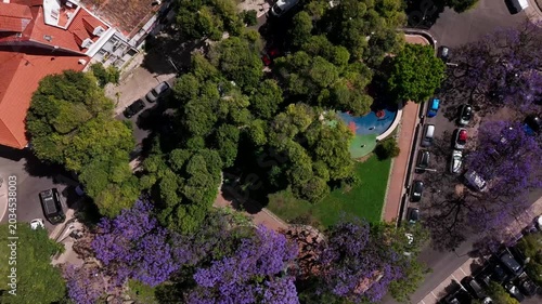 Top-down aerial view of Lisbon's Jardim Botto Machado park, jacaranda trees, and historic architecture in summer.