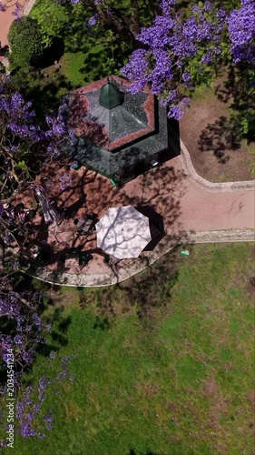 Top-down aerial view of Jardim Botto Machado park, jacaranda trees, and historic Lisbon architecture in summer.