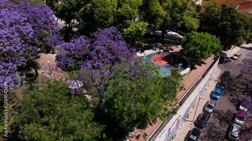 Aerial  orbit of purple jacaranda trees in bloom at Jardim Botto Machado and National Panteon, Lisbon, with historic architecture and urban park pathways.