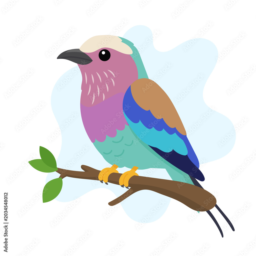 Obraz premium Lilac-breasted roller illustration featuring Coracias caudatus perched elegantly, lilac-breasted roller vector art celebrating Coracias caudatus.