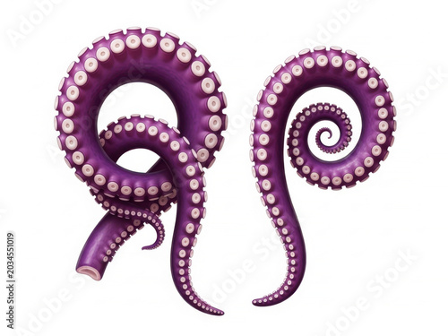 Two raw purple tentacles of sea octopus isolated on white background for exotic gourmet seafood culinary themes