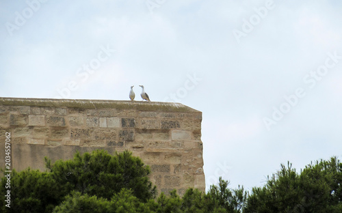 Two seagulls perched on top of an ancient stone fortress wall.