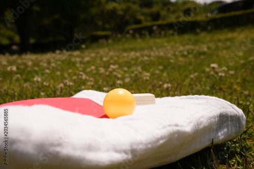 Bild auf Leinwand Ping pong paddle rests on grassy field