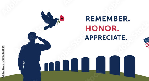 Photos Veteran Saluting at Cemetery with Poppy Flower and American Flag