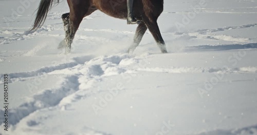 Brown horse galloping through deep snow in winter