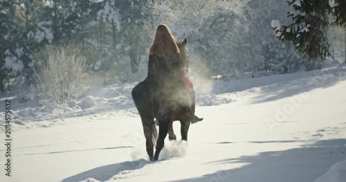 Girl riding a horse in a snowy winter landscape