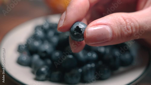Macro shot of fingers holding and rotating a single fresh blueberry to inspect it