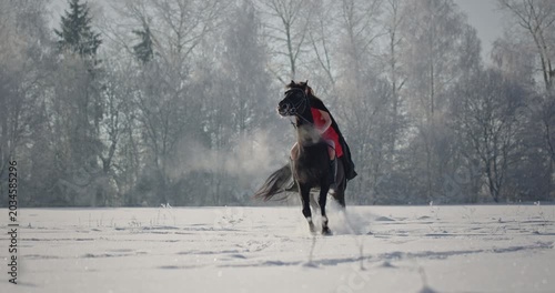 Woman in red dress galloping on a black horse through a snowy field