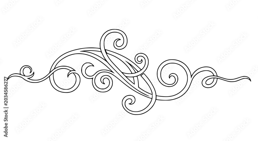 Fototapeta premium Elegant Swirls Flourish Line Art Decoration
