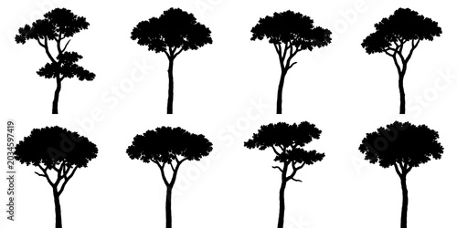 Billede på lærred Black silhouette illustrations of stone pine trees isolated on transparent backg