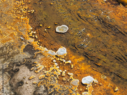 Hot Springs in Yellowstone National Park