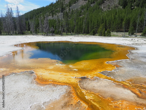 Hot Springs in Yellowstone National Park