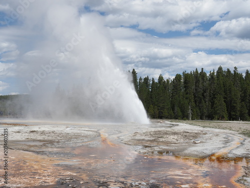 Geysers erupting in Yellowstone National Park