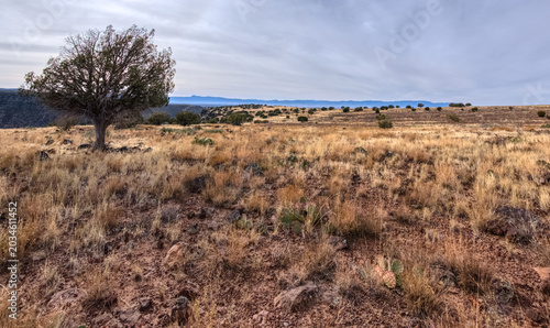 Summit of White Mesa Arizona
