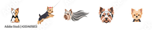 Foto Yorkshire Terrier Puppy Flat Design Cute Pet Vector Illustration