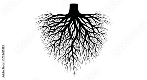 Bild auf Leinwand Black Tree Roots Silhouette on White Background, Deep Connection