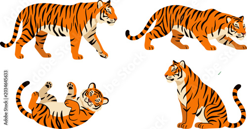 Majestic Wild Tiger Vector Character Set Featuring Orange Bengal Tigers in Walking Stalking Sitting and Playful Lying Down Poses Illustrations