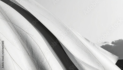 Abstract Black and White Fabric Texture