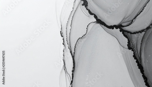 Abstract Black and White Ink Wash Painting