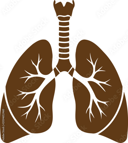 Photos Brown human lungs with trachea and bronchi on transparent background for medical