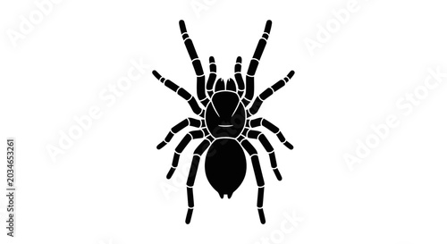 Bild auf Leinwand Black spider on white background.