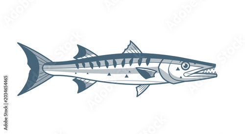 Foto Large silver fish with fins.