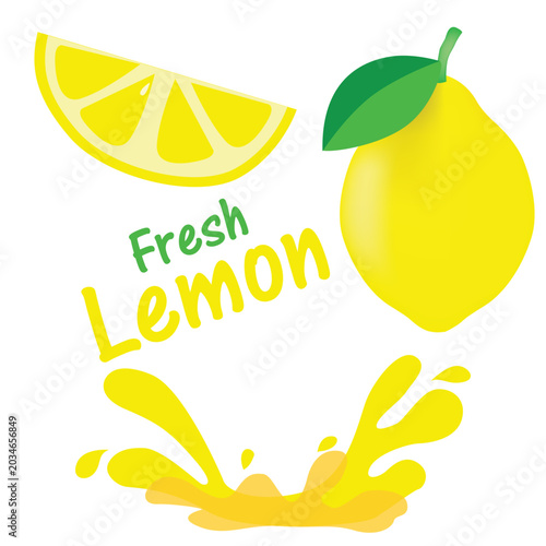Fresh lemon whole fruit with slice and yellow juice splash vector illustration