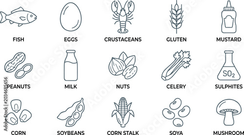 Food Allergen Outline Icon Collection with Fish, Eggs, Milk, Nuts, Gluten, Soy, and Mustard Symbols for Packaging Design Projects