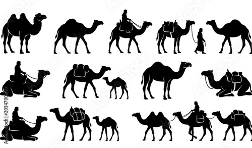 Bild auf Leinwand Camel silhouette vector design set with desert animal illustrations isolated on
