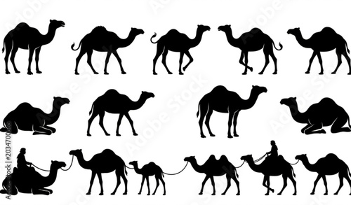 Photography Desert camel silhouette illustration collection with black animal vector designs