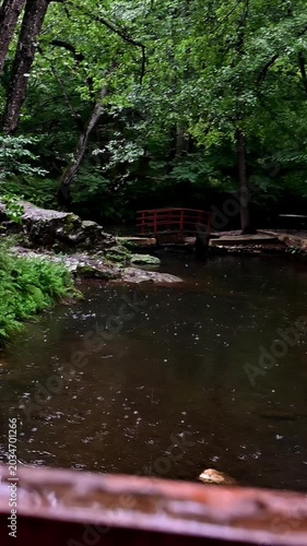 Crystal clear water flow provides calm woodland atmosphere for nature tourism and outdoor recreation concepts